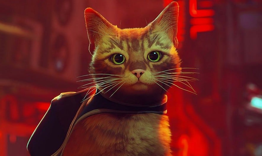 Steam全球一週銷售排行榜：貓咪冒險《浪貓 Stray》《筏上求生》登上排行