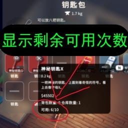 Escape From Duckov Display item usage