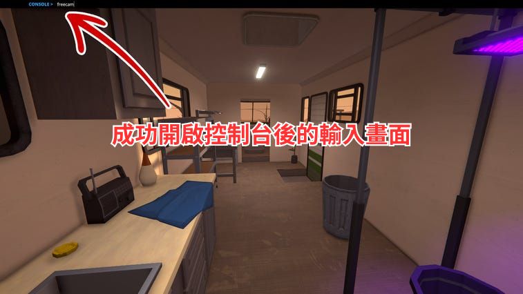 成功開啟控制台後的輸入畫面