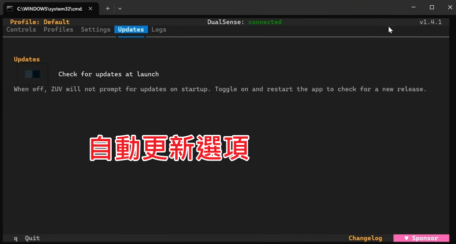 應用程式 Updates 分頁，顯示 Check for updates at launch 切換選項