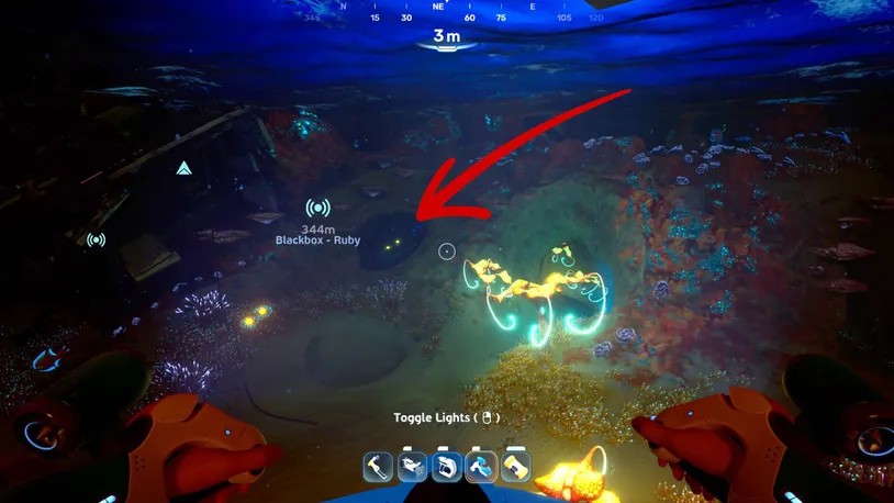 Subnautica 2-海底探索-天使櫛旁洞穴入口